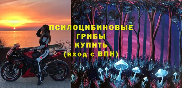 прущие грибы Абинск