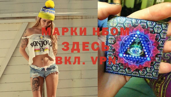 прущие грибы Абинск