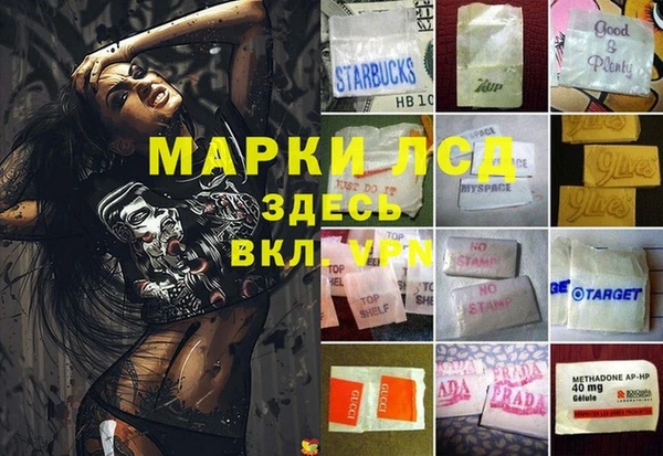 прущие грибы Абинск