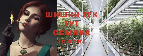прущие грибы Абинск