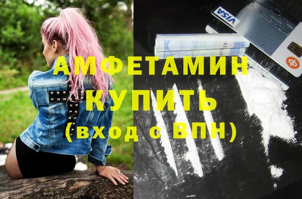 прущие грибы Абинск