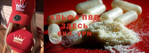 прущие грибы Абинск