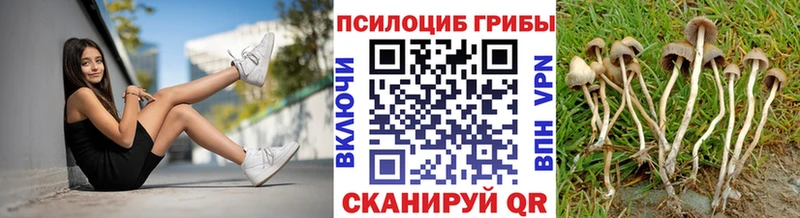 Псилоцибиновые грибы Cubensis  магазин    Воронеж 